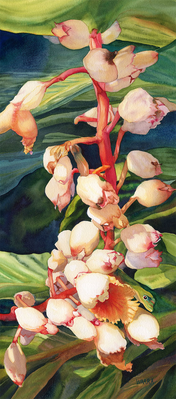 Giclee print of a gecko in a pearl ginger plant by Maui artist Christine Waara